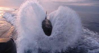 杀人鲸,揭秘杀人鲸的神秘与威胁