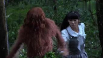 猎野人,探寻自然与生命的奥秘之旅